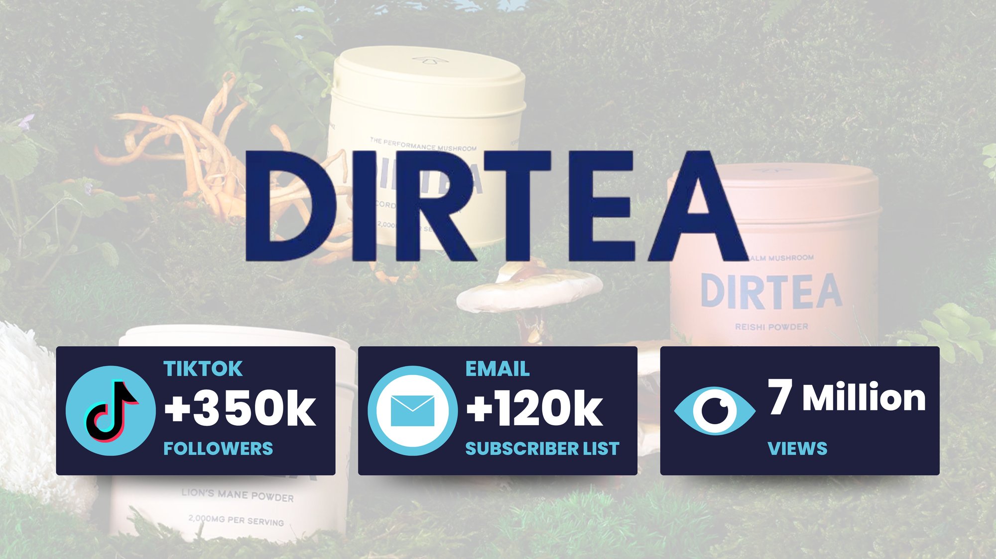 Dirtea Case Study
