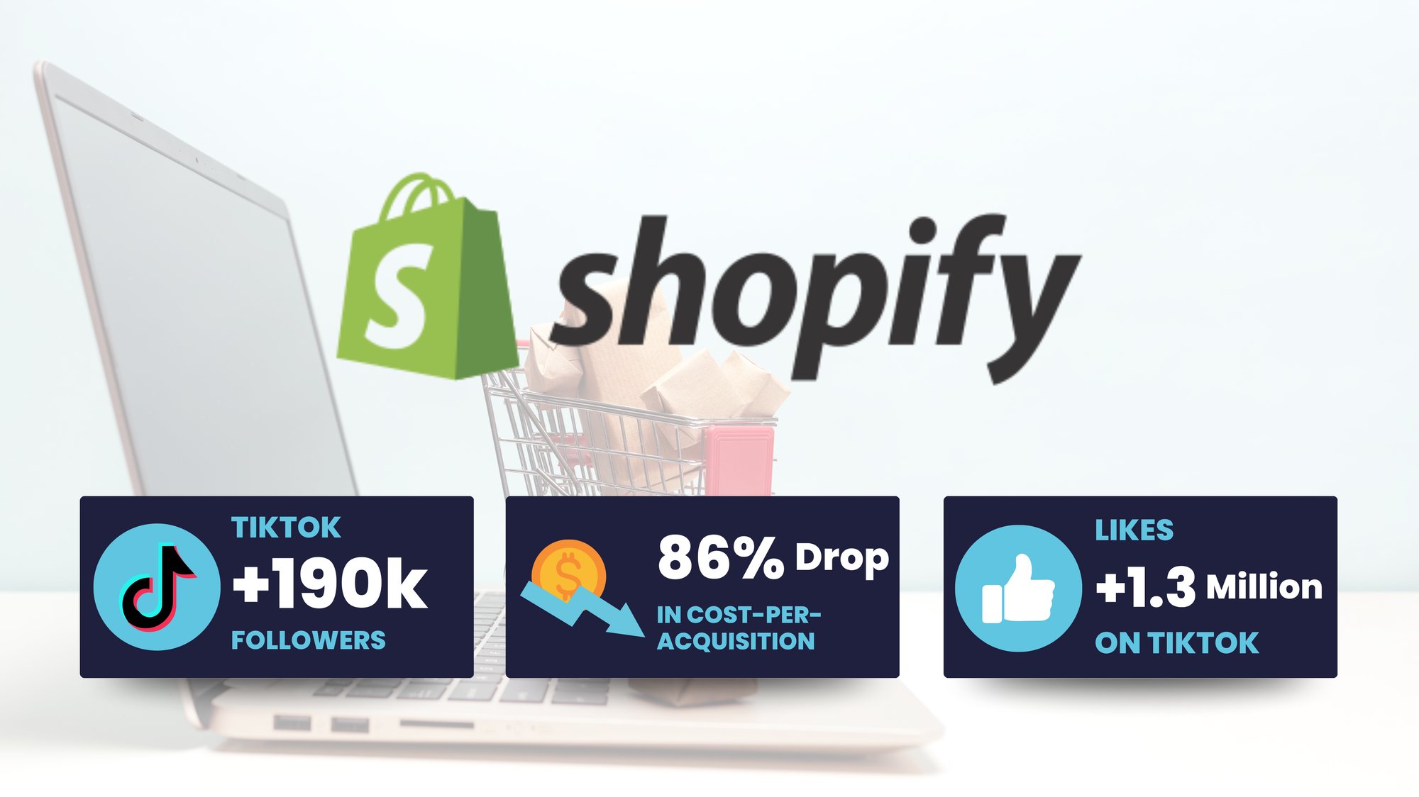 Shopify Case Study