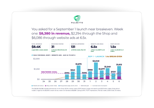 Pulsetto-2